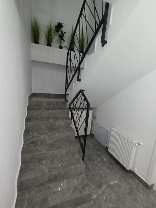 Old Town Studio 1 Apartment Nr 1 Baia Mare Exterior foto
