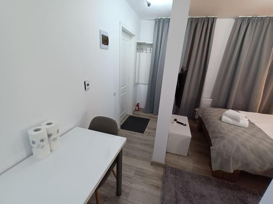 Old Town Studio 1 Apartment Nr 1 Baia Mare Exterior foto