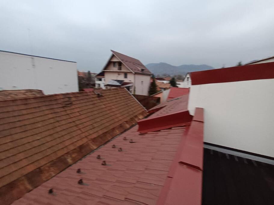 Old Town Studio 1 Apartment Nr 1 Baia Mare Exterior foto