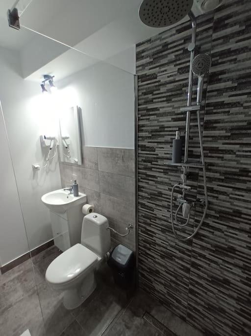 Old Town Studio 1 Apartment Nr 1 Baia Mare Exterior foto