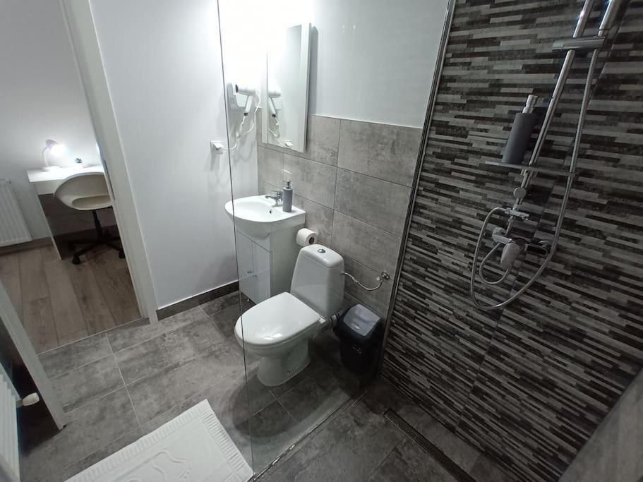 Old Town Studio 1 Apartment Nr 1 Baia Mare Exterior foto
